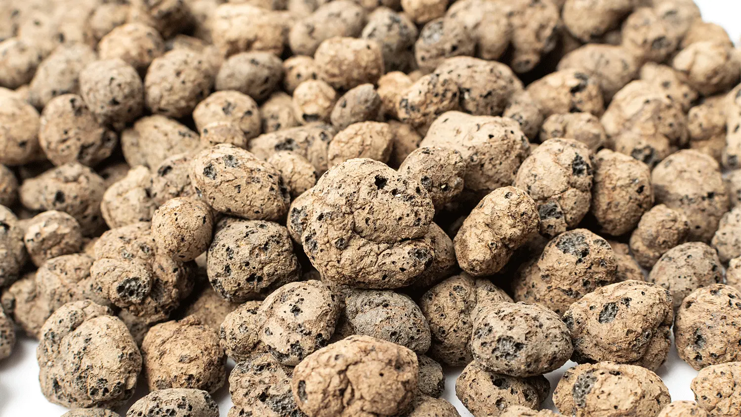 Butiran hidroton atau expanded clay aggregate sebagai media tanam hidroponik yang bisa dipakai ulang